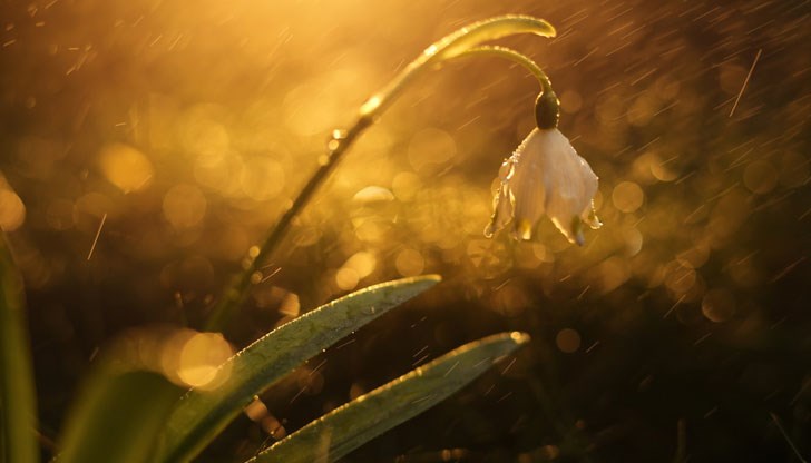 Всяко смущение ще бъде последвано от краткотрайно захлаждане с няколко градуса Всяко смущение ще бъде последвано от краткотрайно захлаждане с няколко градуса