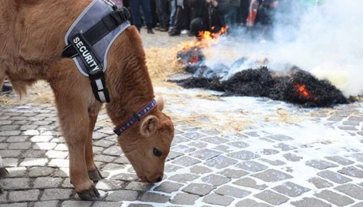 В протеста се включиха земеделци от различни асоциации от Добрич, Русе, Хасково и други градове