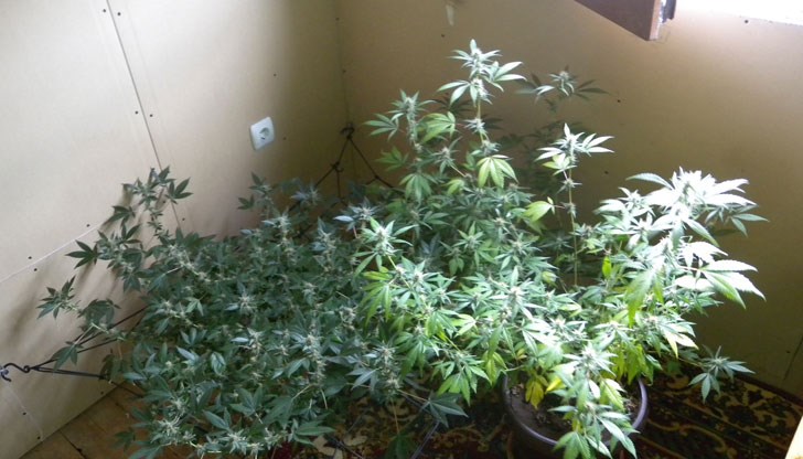 31-годишен мъж е задържан