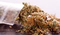 Рекордно количество марихуана задържаха на ГКПП "Капитан Андреево"