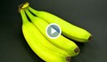 Едва узрелите банани са най-полезни