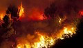 Учени прогнозират по-тежка климатична криза заради пожарите в Амазония