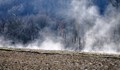 Спасиха от пожар хиляди декари широколистна гора в Еленския балкан