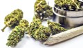 Полицаи спипаха младеж с марихуана в Младежкия парк
