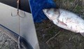 Рибар отнесе акт за "търмъчене" в река Дунав край Мартен