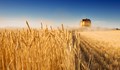ЕС въвежда мито върху зърното от Русия