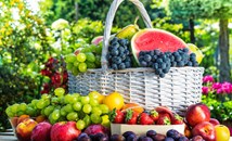 Кои плодове са най-полезни за здравето ни?