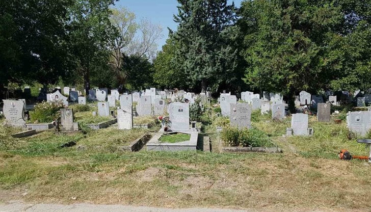 Основните причини за смъртните случаи са заболявания на сърдечно-съдовата система, рак и Ковид-19