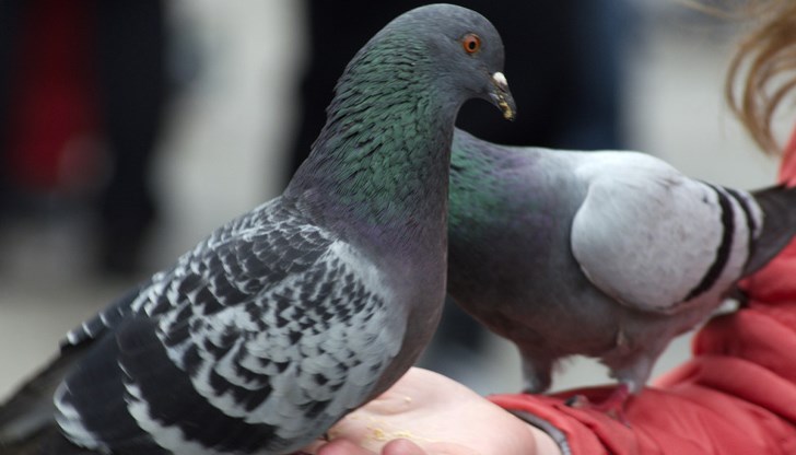 Християнската църква го чества на 25 март Християнската църква го чества на 25 март