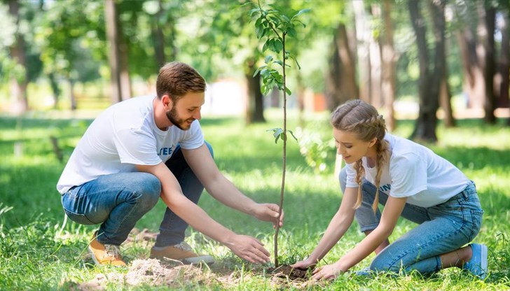 Има места, където засаждането на дървета води до нетни отрицателни резултати за климата Има места, където засаждането на дървета води до нетни отрицателни резултати за климата