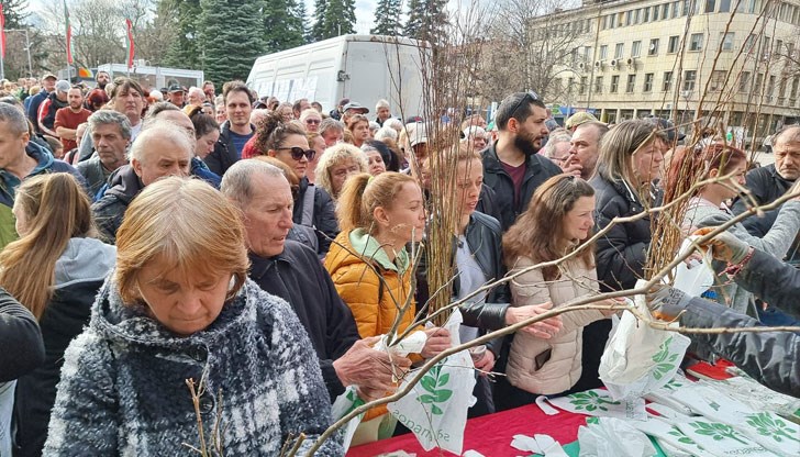 Ще бъдат раздадени плодни, медоносни и паркови дръвчета на всеки, който желае