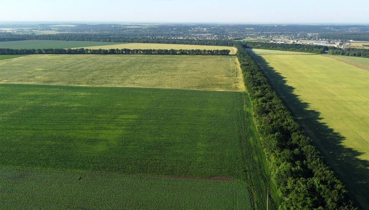 Държавни масиви ще се отдават на търгове, които ще се провеждат на две части Държавни масиви ще се отдават на търгове, които ще се провеждат на две части