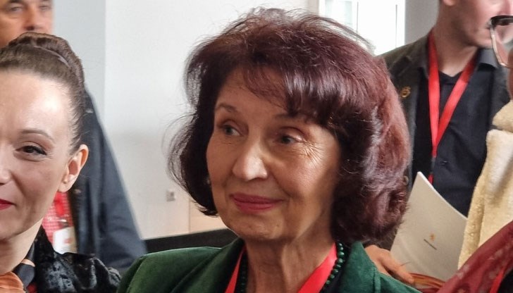 Тя е депутат от опозиционната партия в парламента на РСМ Тя е депутат от опозиционната партия в парламента на РСМ