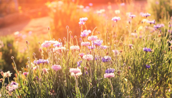 Тогава е пролетното равноденствие, обясни Пенчо Маркишки Тогава е пролетното равноденствие, обясни Пенчо Маркишки