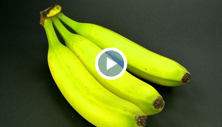 На този етап от развитието си плодът съдържа много фибри и малко захар