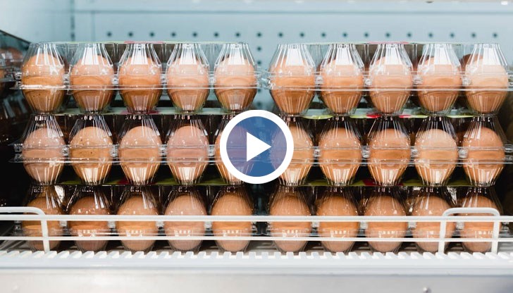 За това алармират от Асоциацията за промишлено птицевъдство