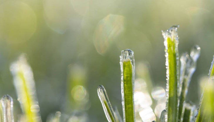 През новата седмица идват облаци и дъжд, но от събота нататък предстои затопляне