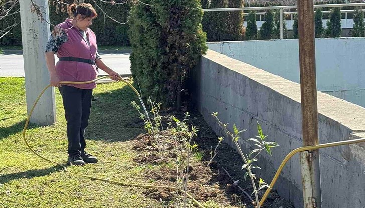 Капково напояване се изгражда в района, съобщи русенският кмет