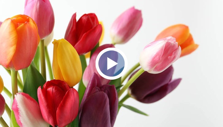 Това показа проучване на водещо приложение за доставки