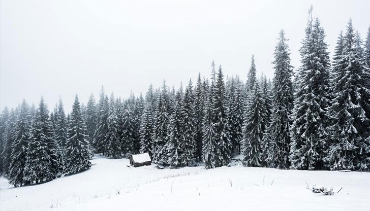 Прогнозите  за снеговалеж на малка надморска височина едва ли ще се оправдаят