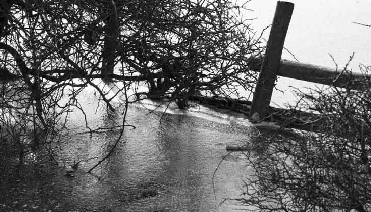 Ранените са около 50