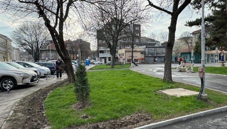 Ремонтът ще се извършва в тревните площи, а не върху новоасфалтираните алеи Ремонтът ще се извършва в тревните площи, а не върху новоасфалтираните алеи