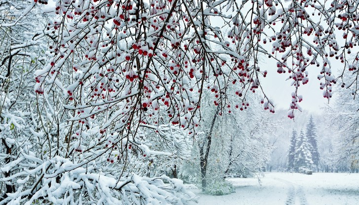 Температурите са положителни в планините, пистите работят Температурите са положителни в планините, пистите работят