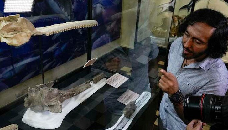 Находката е направена в района на перуанска Амазонка Находката е направена в района на перуанска Амазонка