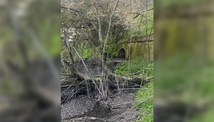 Замърсяването идва от свинекомплекс