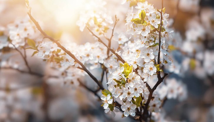 Това е денят на пролетното равноденствие, след него светлата част на деня започва да се увеличава Това е денят на пролетното равноденствие, след него светлата част на деня започва да се увеличава