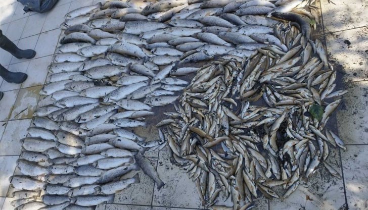 Смолянски съд призна в детайли речно замърсяване, но отмени глобата на ВиК Смолянски съд призна в детайли речно замърсяване, но отмени глобата на ВиК