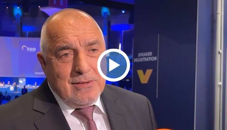 Академик Николай Денков никога не можеше да вземе решение, докато не чуе Иван Модев, Кирил, Асен, една поредица хора.