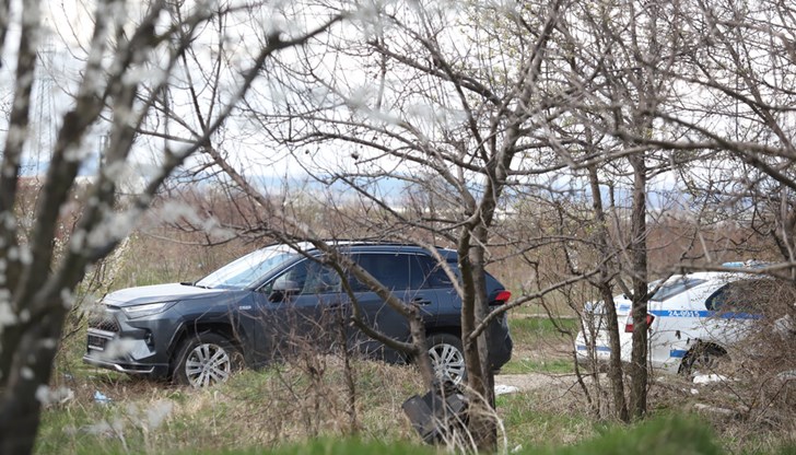 Тя е била изоставена в нива, близо до жилищна сграда в столичен квартал /снимката е илюстративна/