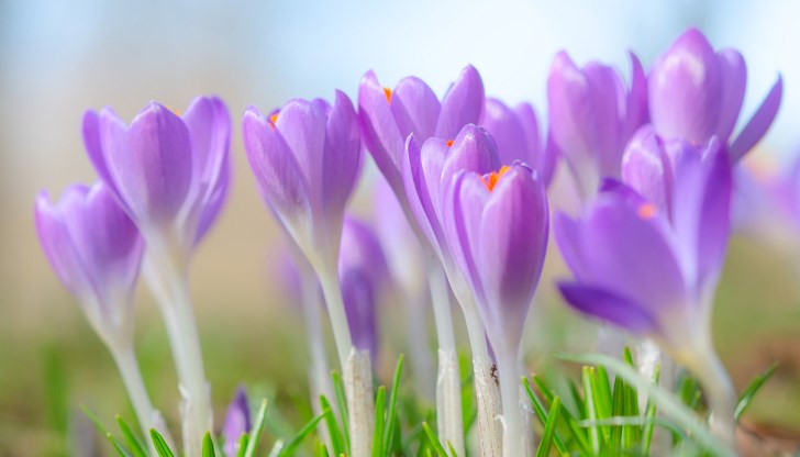 В по-голямата част от страната ще е предимно облачно В по-голямата част от страната ще е предимно облачно