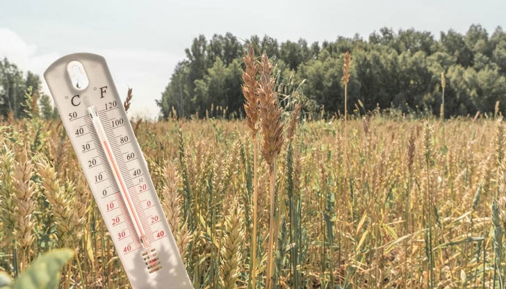 Следобед термометърът отчете 28 градуса Следобед термометърът отчете 28 градуса
