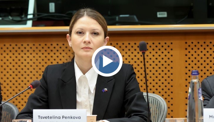 Процесите около българските ядрени мощности се следят активно в Европейския парламент, заяви евродепутатът