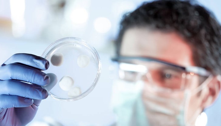 Смята се, че захарта е причинила развитието на бактерии, които причиняват заболяването по зъбите Смята се, че захарта е причинила развитието на бактерии, които причиняват заболяването по зъбите