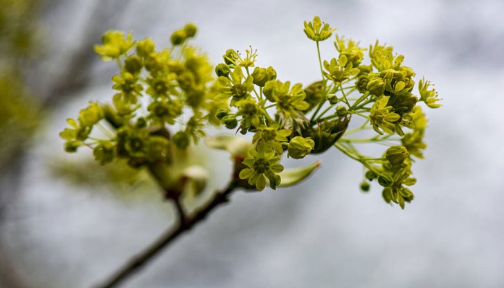 В температурно отношение не се очакват аномалии