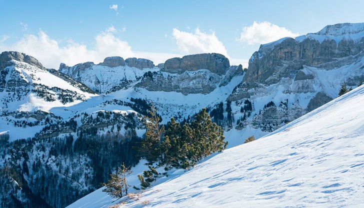 Последният човек от групата все още е издирван
