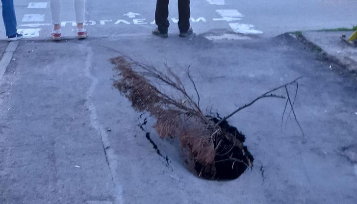 Зейналата яма е до много оживен участък от булевард "Съединение"