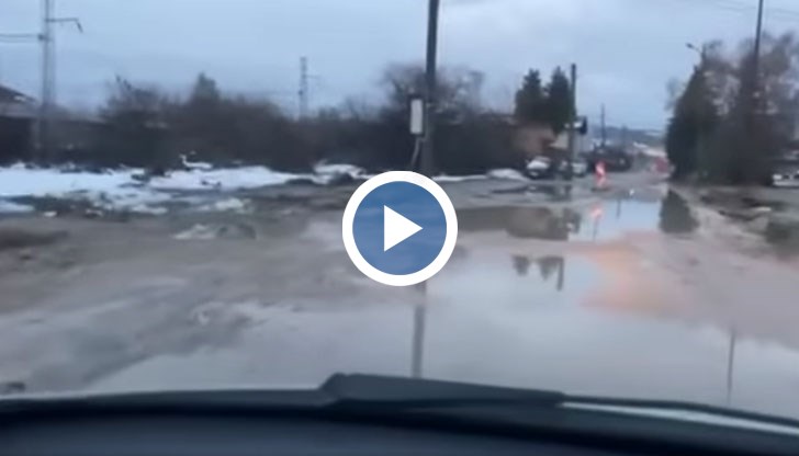 Политиците в България да се засрамят малко, ако изобщо знаят какво е това, коментира Диана Русинова