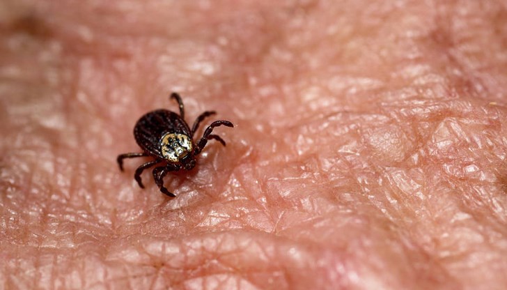 Наземната обработка продължава в няколко квартала Наземната обработка продължава в няколко квартала