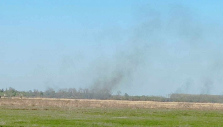 Огнищата са били на километър от колонията на пеликаните, уточниха от РИОСВ - Русе Огнищата са били на километър от колонията на пеликаните, уточниха от РИОСВ - Русе