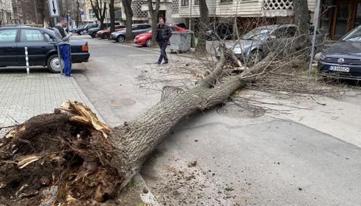 Пешеходка се спаси по чудо Пешеходка се спаси по чудо