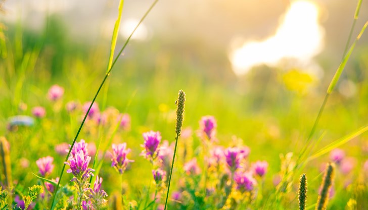 Топло и слънчево над цялата страна в последните дни на месеца