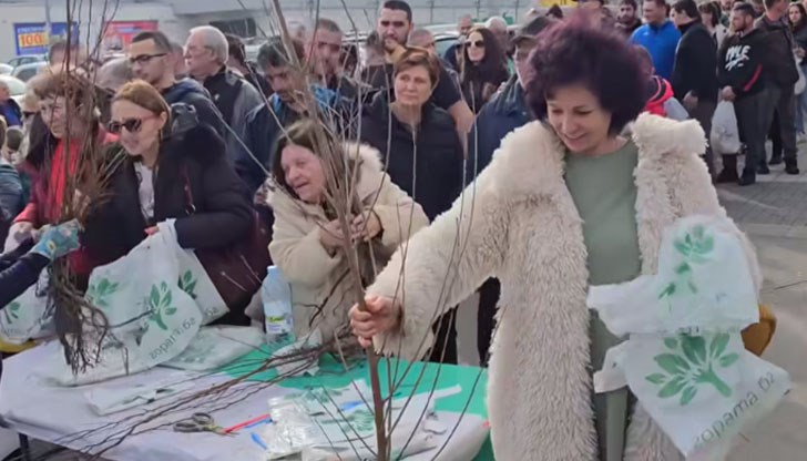 Всеки желаещ може да получи колкото дръвчета пожелае Всеки желаещ може да получи колкото дръвчета пожелае