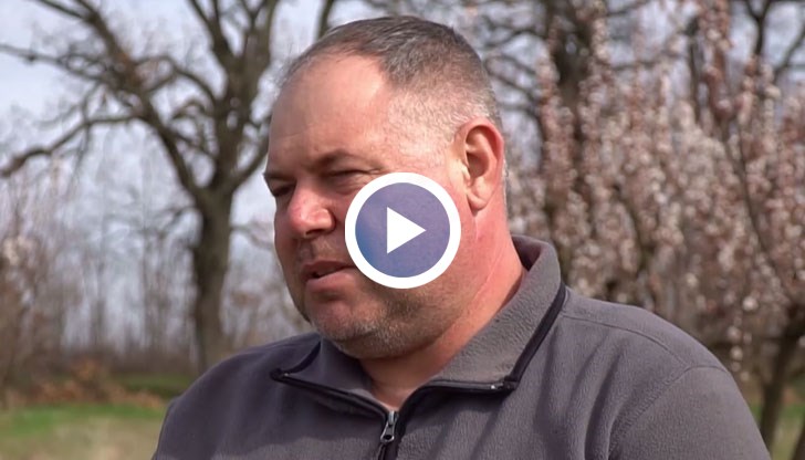 Симеон Вейсал, който отглежда кайсии, праскови и нектарини, е претърпял сериозни загуби през изминалата година