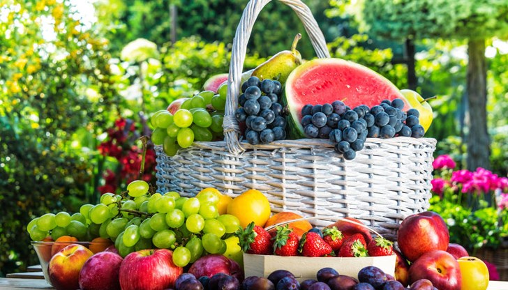 Плодовата магия: Еликсир за здраве и настроение Плодовата магия: Еликсир за здраве и настроение