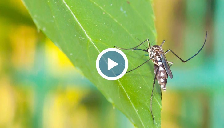 Още от края на миналата година от Община Русе са изпратили писма до Министерството на финансите и на здравеопазването, но отговори няма