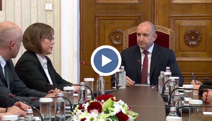 Вместо да се борят с мафията, изпраха мафията и задкулисието и ги узакониха, заяви лидерът на БСП по време на консултациите при президента